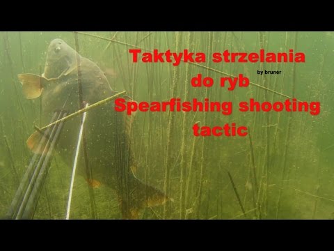 Duży i mały penis pochwa Operacja jest pogrubienie członkiem