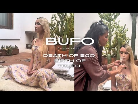 Bufo Alvarius & the God Molecule (5-MeO-DMT) — My Sacred Rebirth