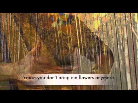 You don't bring me flowers - Harp Cover- Vanessa Sundstrup