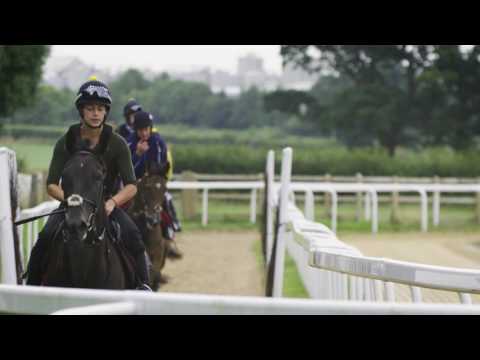 Ditcheat Thoroughbreds Racehorse Syndicate Coillte Lass introduced by Paul Nicholls