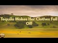 Joe Nichols - Tequila Makes Her Clothes Fall Off (Lyrics)