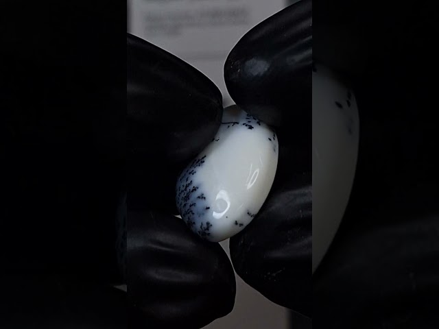 حجر اوبال مشجر طبيعي مفحوص و موثق بشهادة مختبر