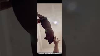 Download lagu Auntie, don't you realize? 🤔 Risk of putting the camera down 🫣 #tiktoklive mp3