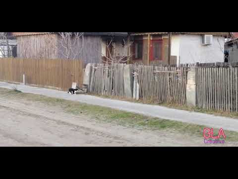 Sfântu Gheorghe - Romania