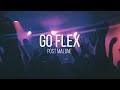 Go Flex Post Malone Lyrics