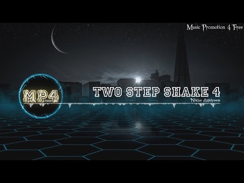 Two Step Shake 4 by Niklas Ahlström - [Electro Music]
