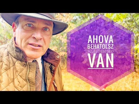 Ahova behatolsz, ott felelősséged van! – avagy: SZEX-ről, másként.