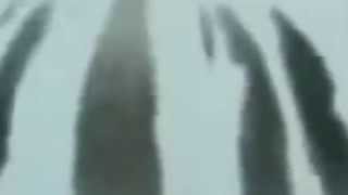 in memoriam -mago de oz