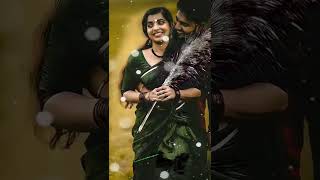 Download lagu Chinna chinna sethi solli ✨ song ✨ whatsapp status video ✨ HD video ✨ mp3