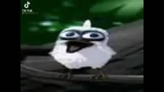 Cover art for screaming bird