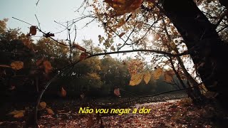 The Smashing Pumpkins - Galapogos (Legendado em Português)