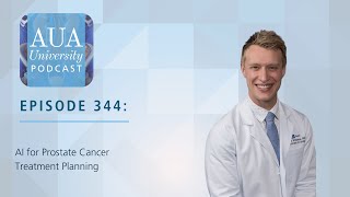 AI for Prostate Cancer Treatment Planning