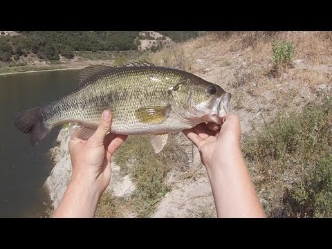 Lopez Lake Bass Fishing  -  6/1/2018