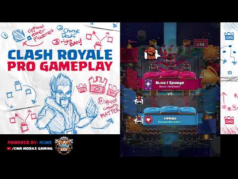 Sponge w/ Hog Exe Nado Tearing Up Ladder | Top 200