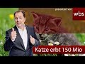 Erbt Lagerfelds Katze Wirklich 150 Millionen Euro? | Rechtsanwalt Christian Solmecke