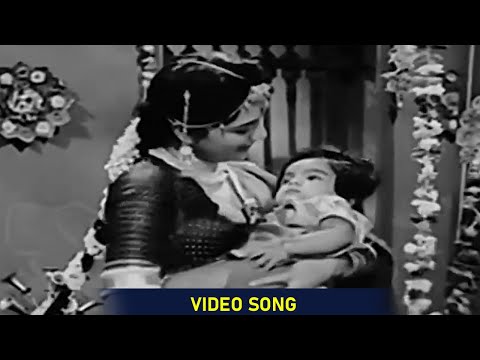 Insaniyat (1955) Movie Songs || Meri Aasha Ke Phool Meri  Video Song || Eagle Classic Songs
