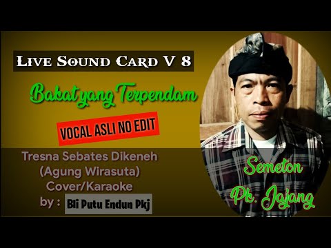 Tresna Sebates Dikeneh.(Cover/Karaoke by : Bli Putu Endun Pkj).