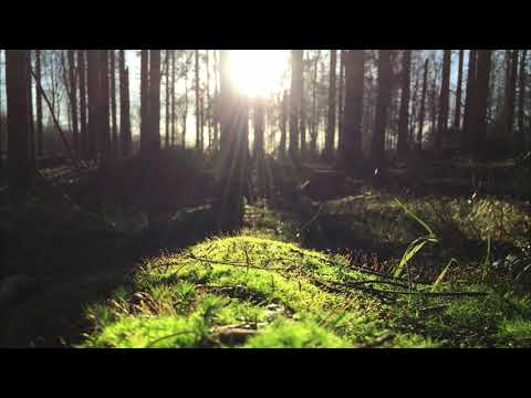 Barac - try to be a rainbow in someone else's cloud