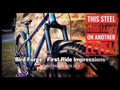 Why you need a hardtail MTB in your life!