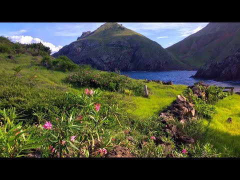 Hayat Mertebeleri Kaç Tanedir?, Birinci Mektup, Mektubat