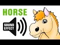Horse Sound Neigh