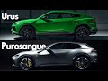 Ferrari Purosangue vs Lamborghini Urus: High-Speed Luxury Face-Off