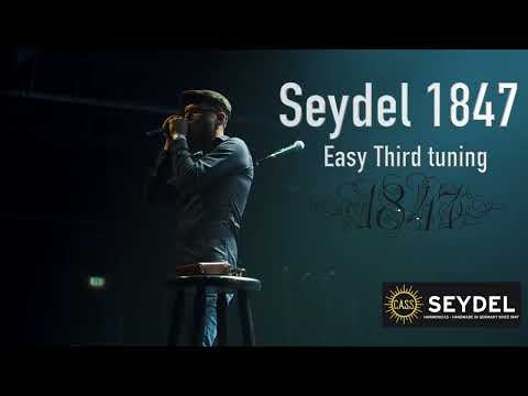 Irish Reel Bag of Spuds on a Seydel 1847 Easy Third tuned harmonica 🥳