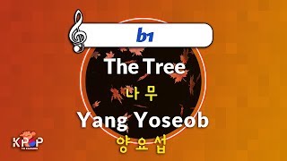[KPOP MR 노래방] 나무  - 양요섭  (b1 Ver.)ㆍThe Tree - Yang Yoseob