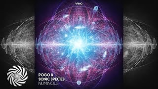 Sonic Species & Pogo - Numinous