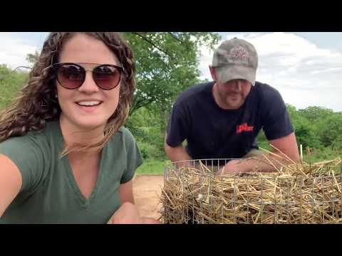 Build a potato tower!