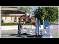 Khamma des Baies 6 ans Jument avec gros potentiel