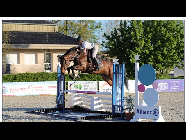 Khanna des Baies 6 ans Jument avec gros potentiel 