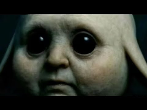 Animal company meme compilation for 16 minutes and 1 second