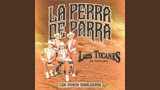 La Perra de Parra (Banda)