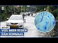 Gigantisch veel regen op komst: hier gaat het los