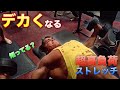 耐えるだけでデカくなる超高負荷ストレッチEQI スポーツパフォーマンス向上【筋トレ】
