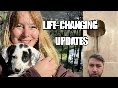 We Got a Dog, We Got Hot Water | Cortijo Renacer Update
