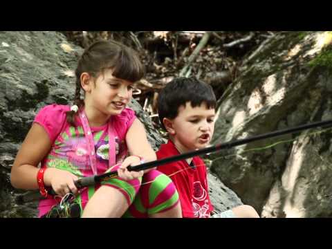 11 picirruket peshkataret