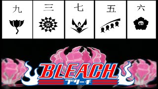 Bleach New OPENING :All the Symbolisms of the GOTEI 13 - Explained