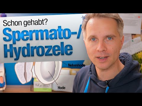 WasserBLASE am HODEN (Spermatozele/Hydrozele) | jungsfragen.de