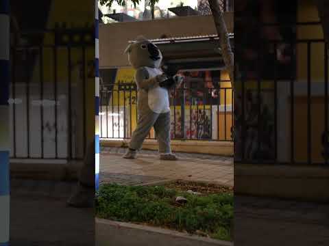 תמונה של Koala Beer Bar