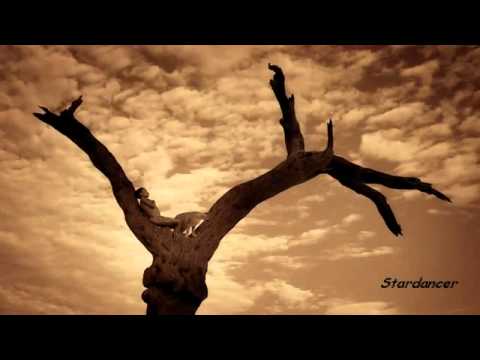 Sahara Lounge~~~~~~~~~~~~~~