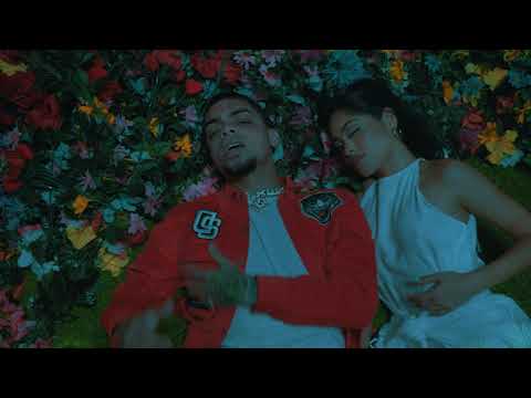 Hozwal - Opciones [Official Music Video]