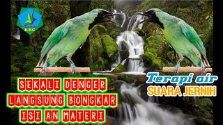 Download lagu CUCAK IJO MACET AUTO GACOR BONGKAR ISI AN NGENTROK DENGAN MENDENGAR KOMBINASI TERAPI AIR mp3 Download lagu CUCAK IJO MACET AUTO GACOR BONGKAR ISI AN NGENTROK DENGAN MENDENGAR KOMBINASI TERAPI AIR mp3
