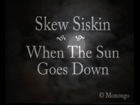 Skew Siskin - When The Sun Goes Down - Official Video
