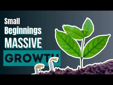 The Power of Small Beginnings: Biblical Wisdom for Life - Changing Growth