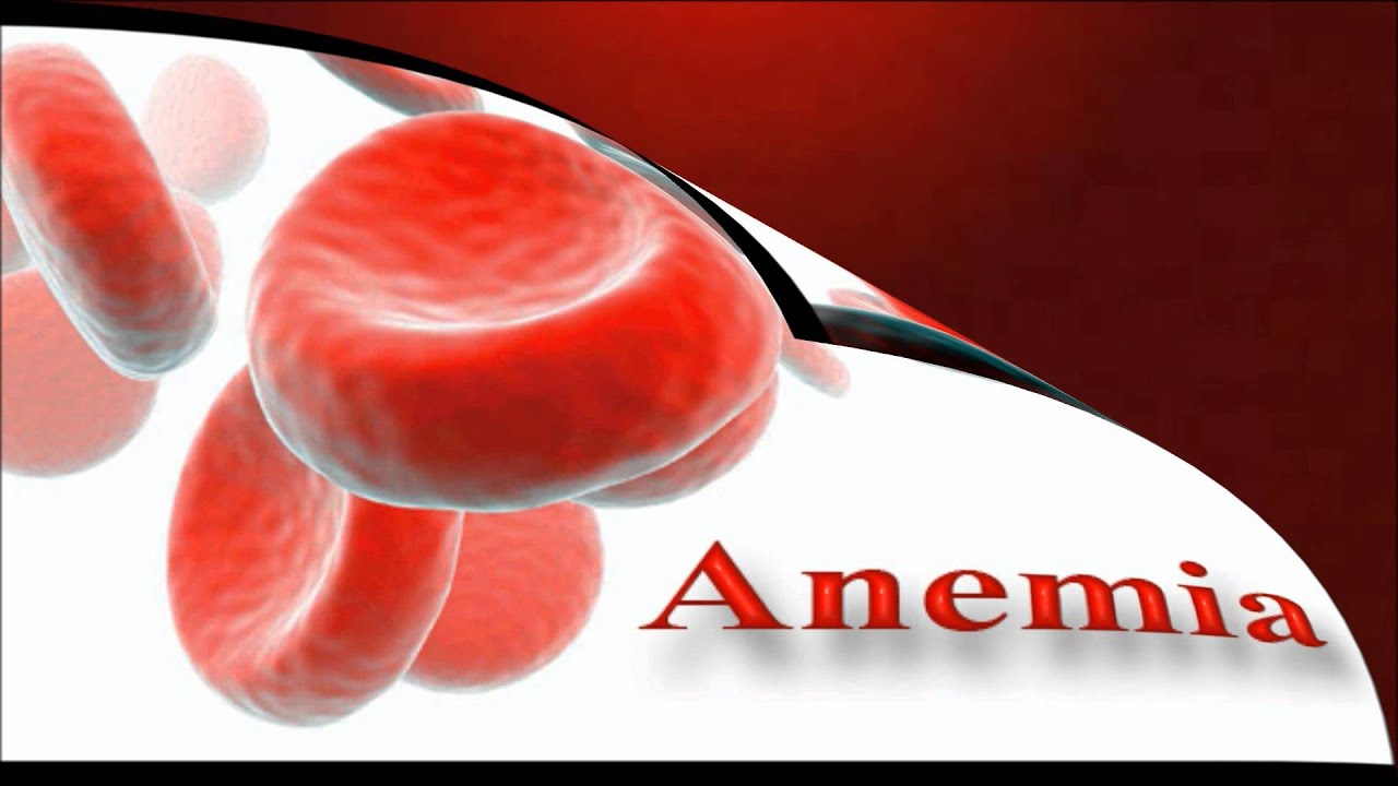 Jorge Lozano Valdivia-23