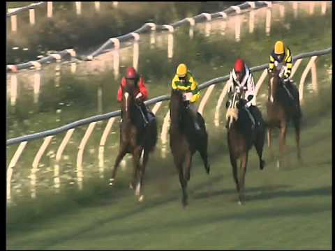 Galoppo 22/07/2015 - 1° corsa