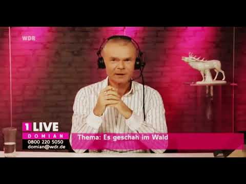 Lydia 73 It happened in the cemetery (Domian) #viral #shorts