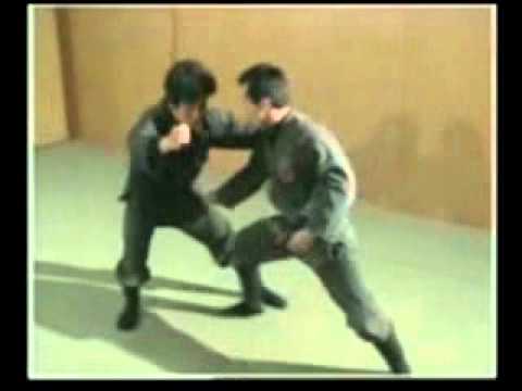 Koto Ryu KoppoJutsu - Shoden no Kata